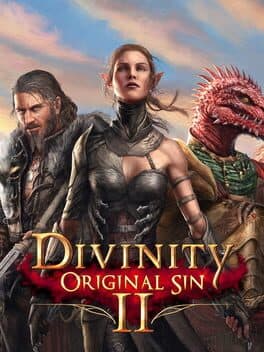 Divinity: Original Sin II game cover art
